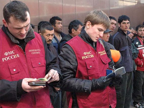 прописка в Светлограде